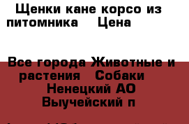 Щенки кане корсо из  питомника! › Цена ­ 65 000 - Все города Животные и растения » Собаки   . Ненецкий АО,Выучейский п.